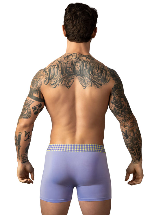 Man Waring Male Power So Comfy Gingham Boxer Brief (Purple) Back