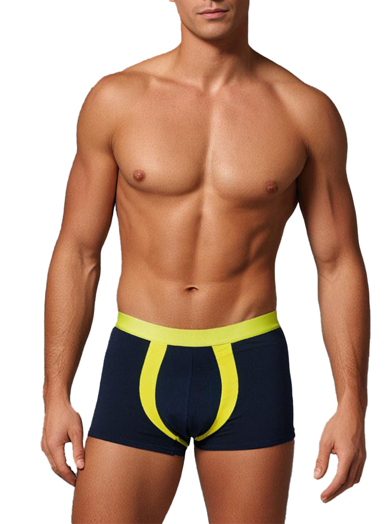 Undergear Basix Alex Two-Tone Trunk