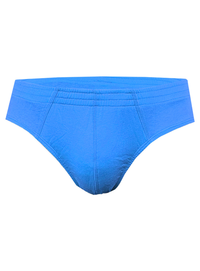 Basics 100% cotton briefs