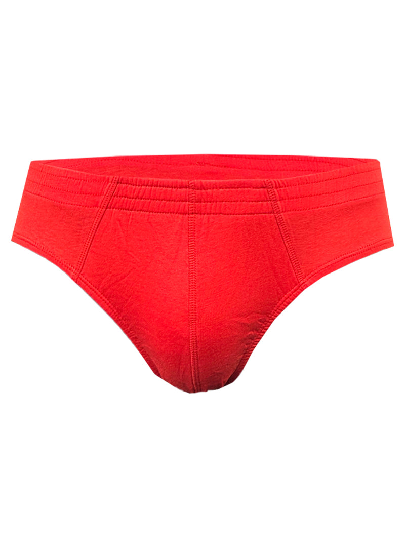 Basics 100% cotton briefs
