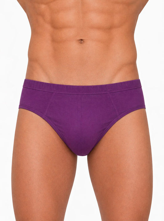 Undergear Contour French Brief - Purple
