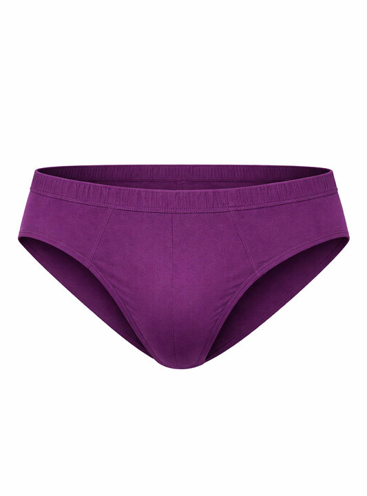 Undergear Contour French Brief - Purple