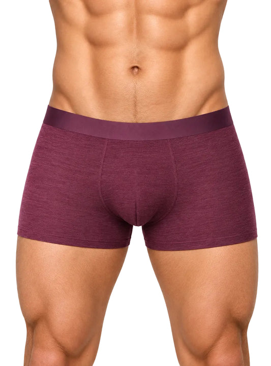 Essential Sheer Trunk