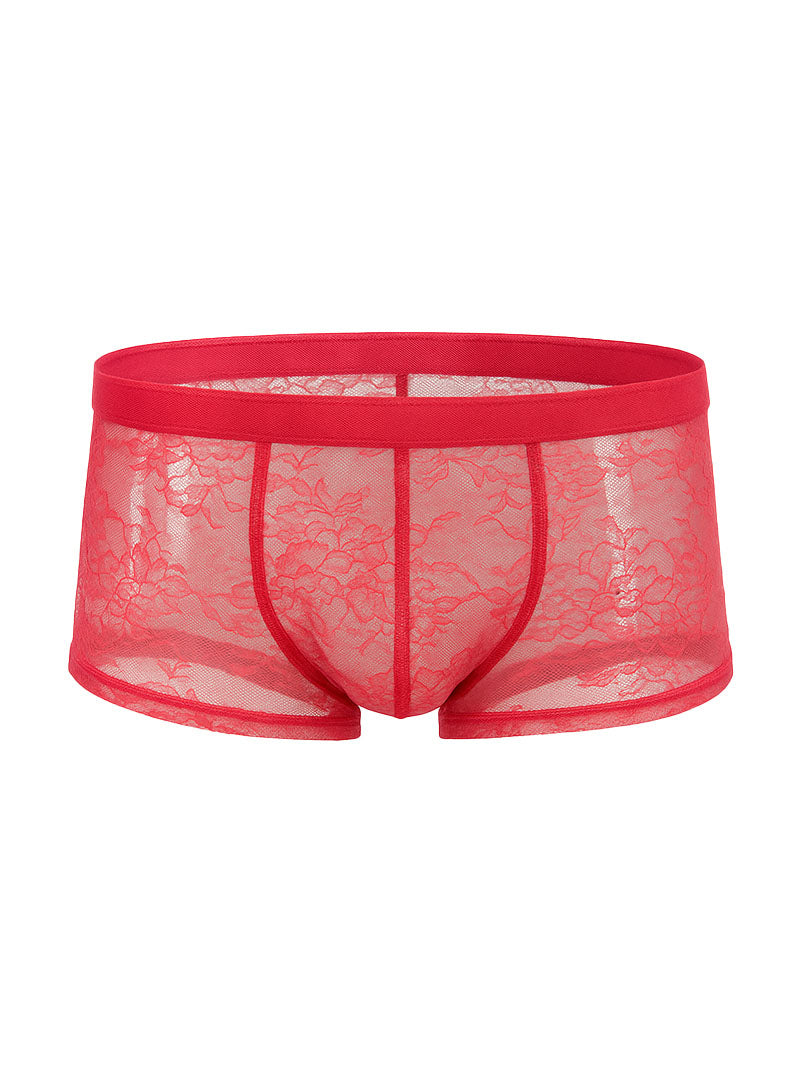 Luxury Lace Trunk
