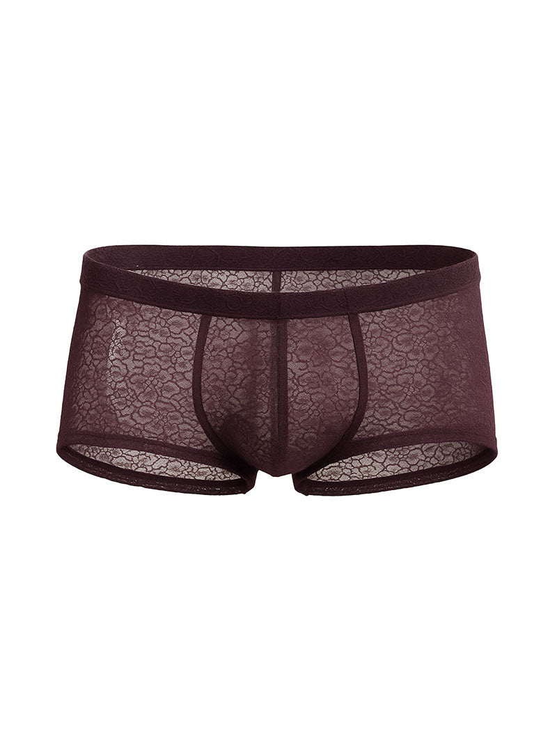 Luxury Lace Trunk