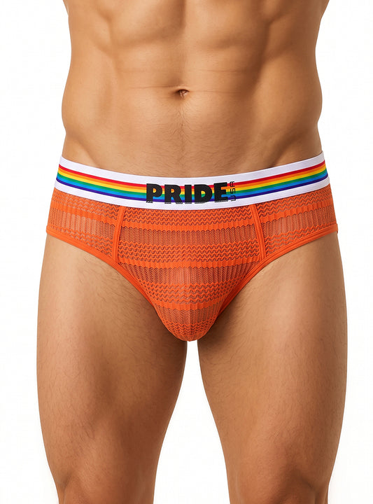 Pride Sheer Mesh Archery Brief – Men's See-Through Underwear