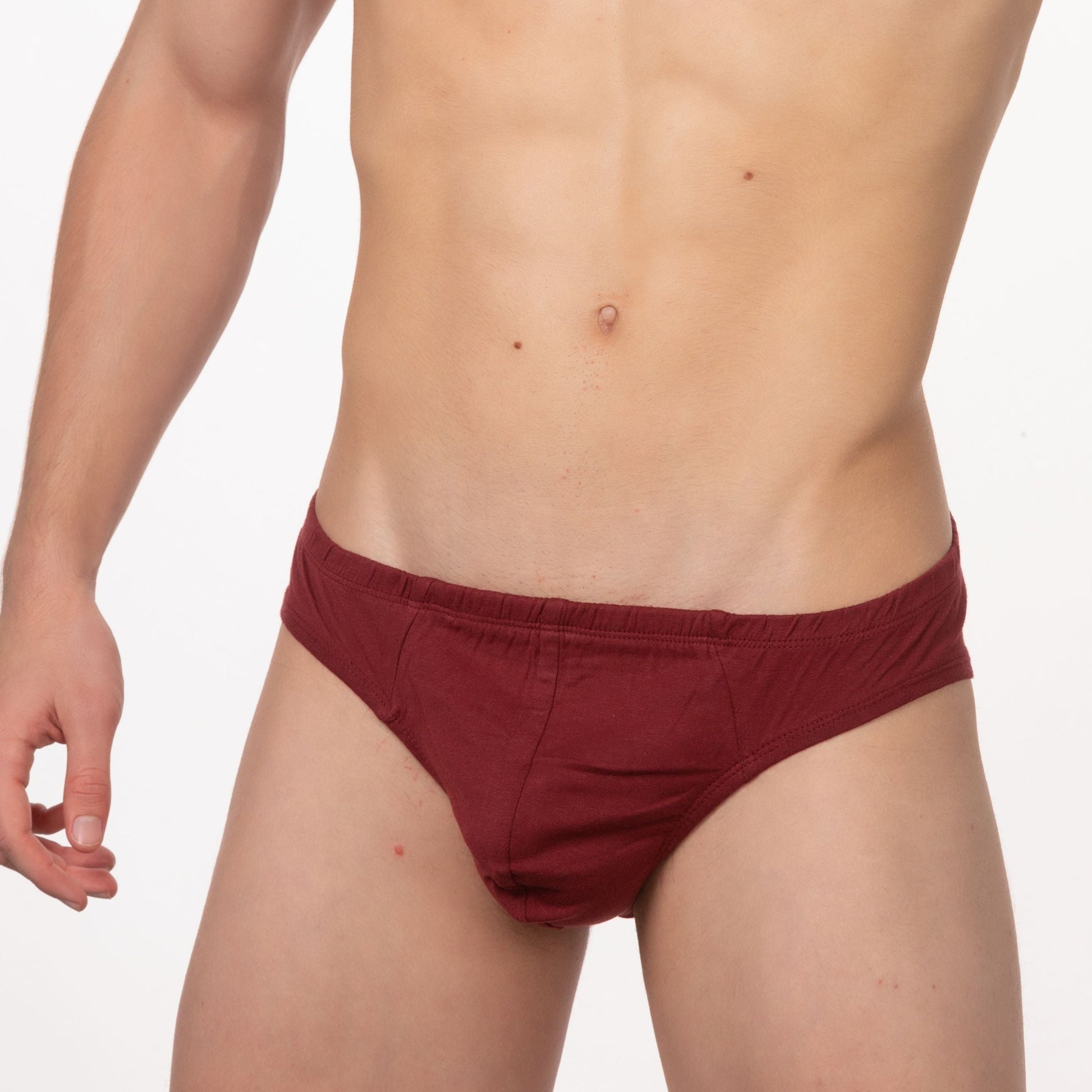 Contour French Brief in Burgundy - Front View 