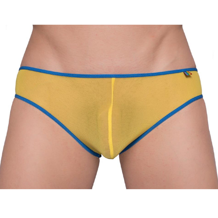 Pride Mesh Gossamer Bikini