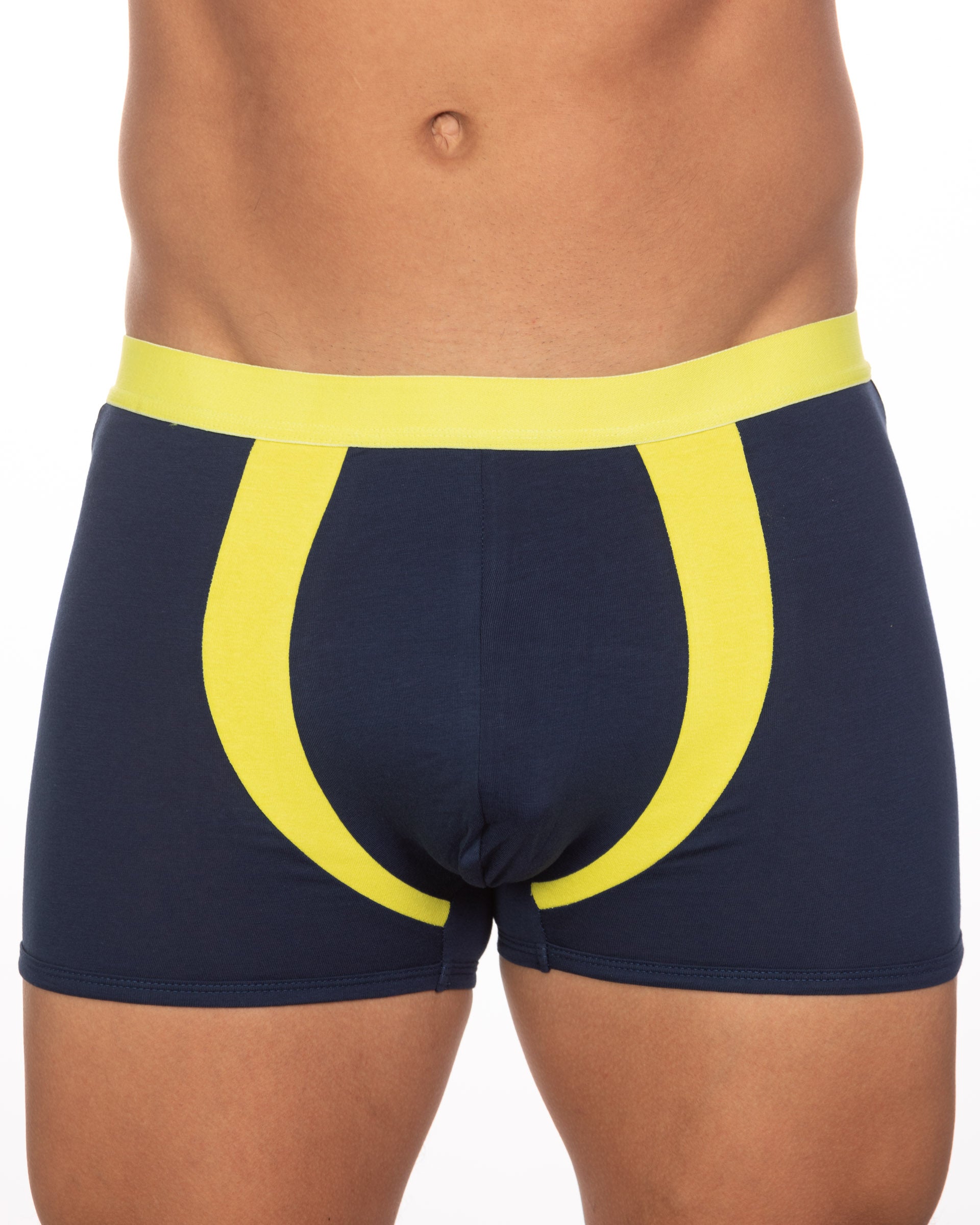 Undergear Basix Alex Two-Tone Trunk