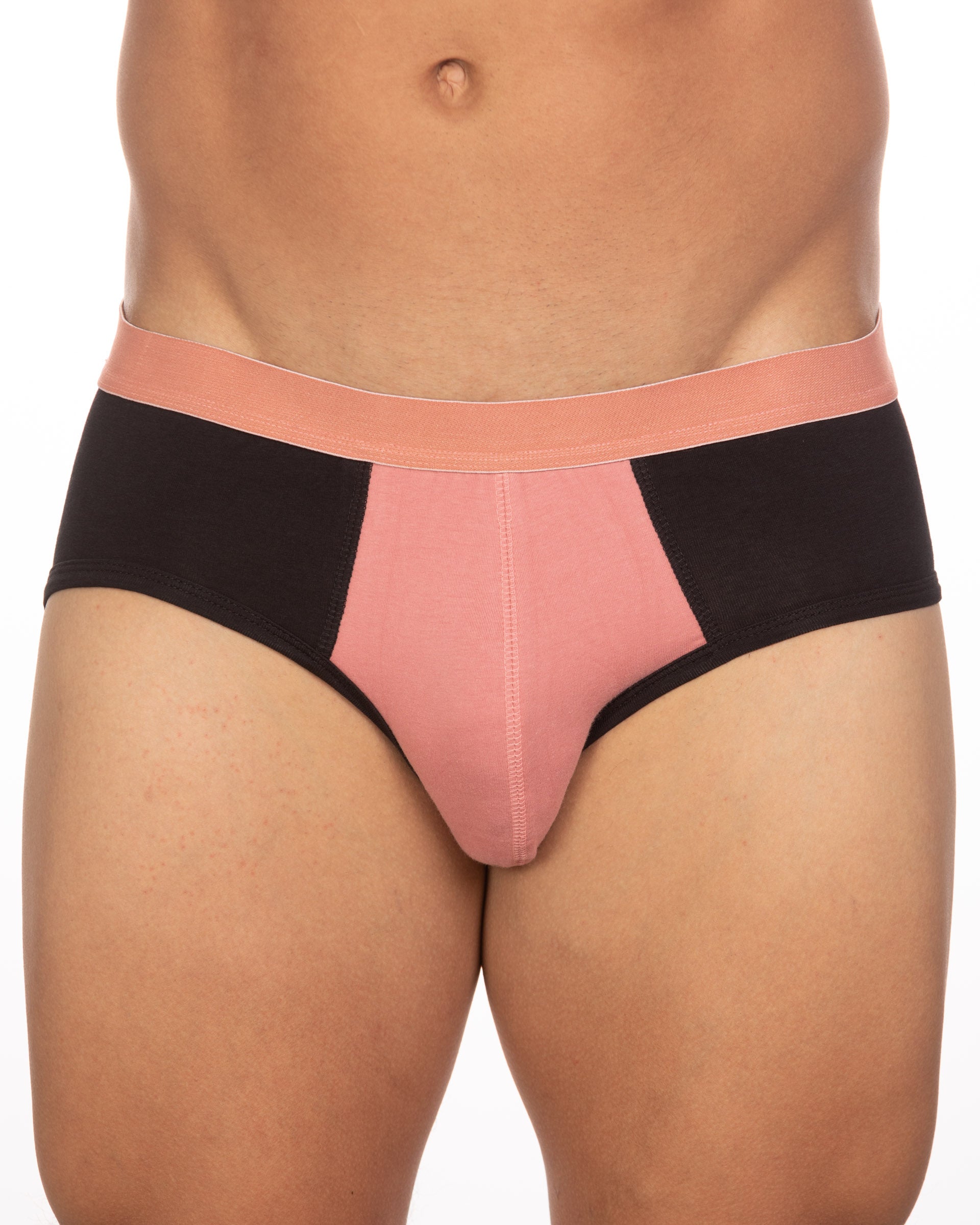Undergear Basix Stan Two-Tone Brief