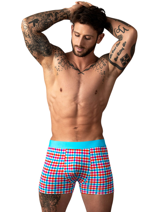 Male Power So Comfy Gingham Boxer Brief