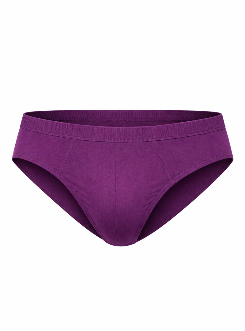 Undergear Contour French Brief