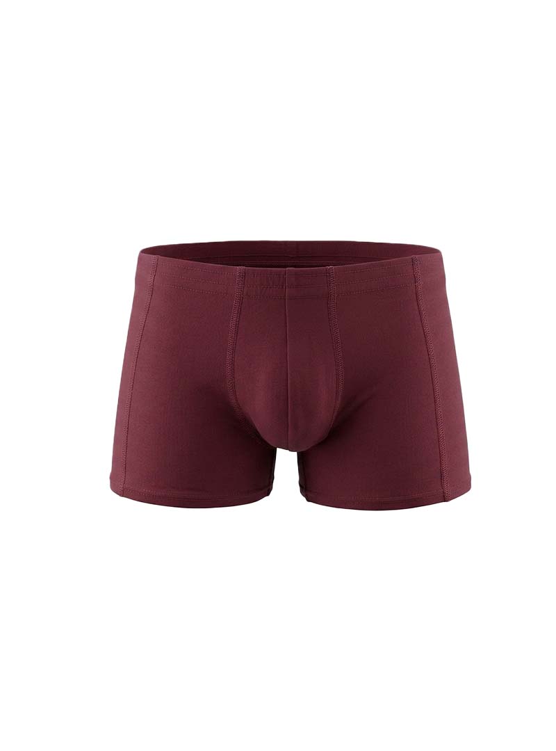 Burgundy Essential Trunk 