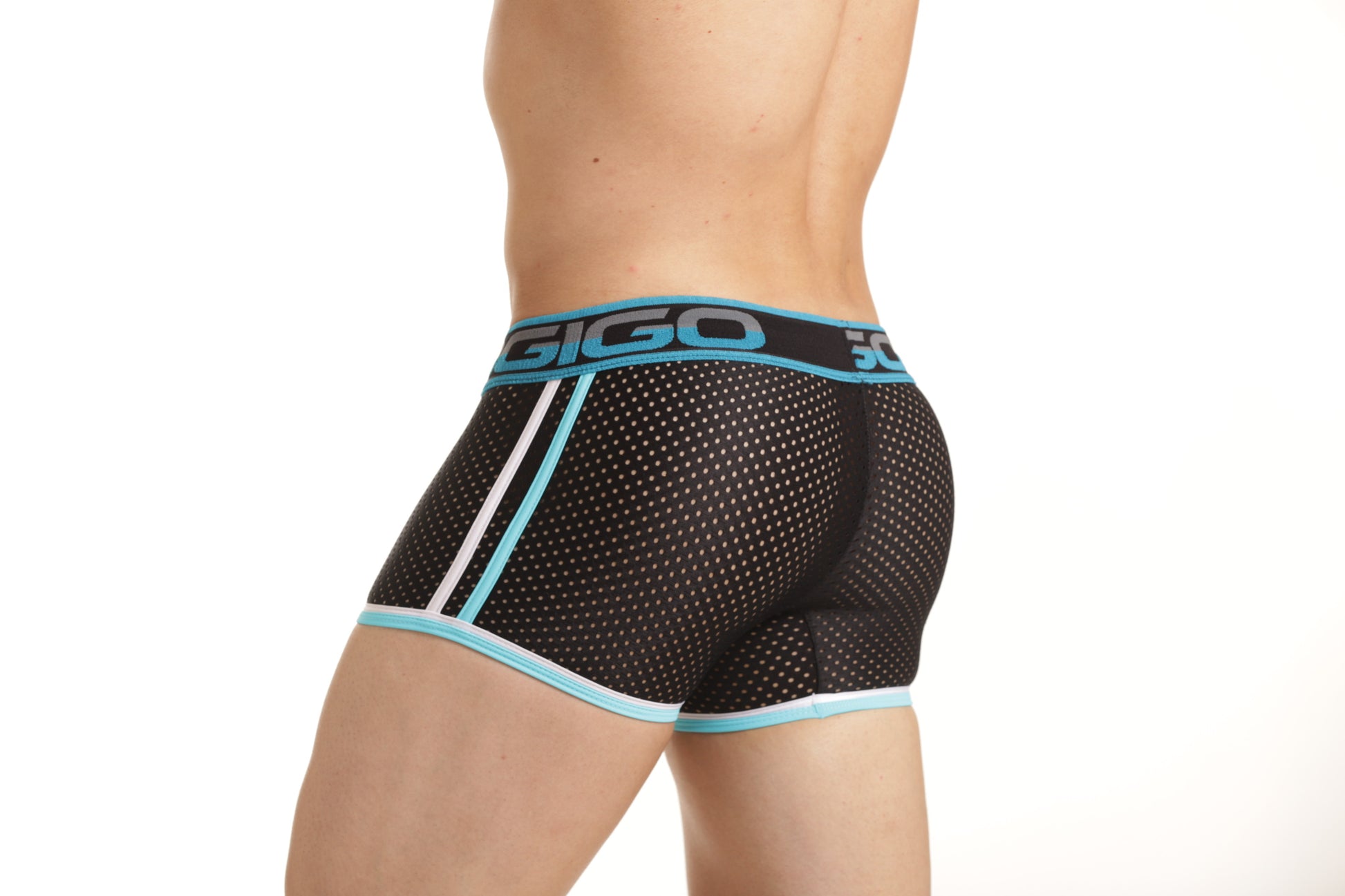 GIGO VERSATIL TRUNK