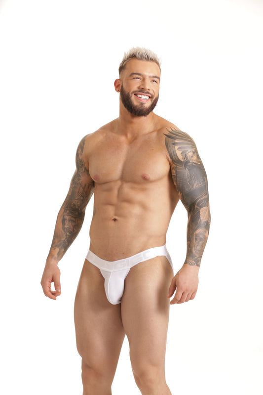 GIGO SCANALING STRING BRIEF