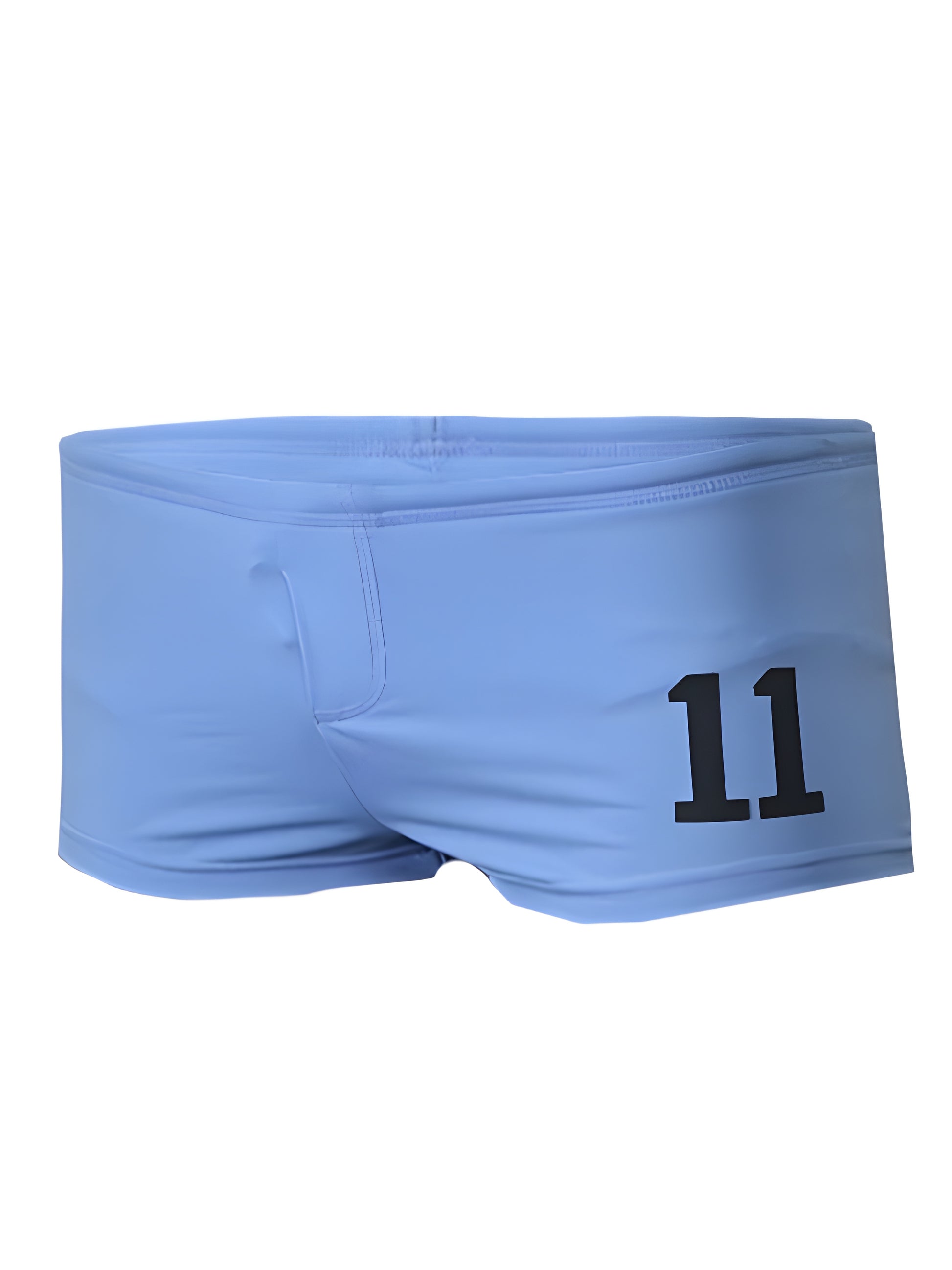 PRIDE 11 BRIEF