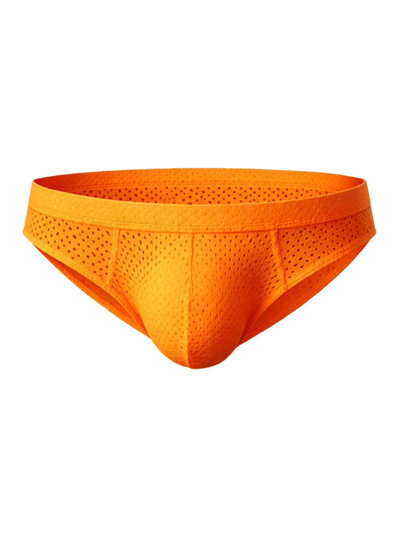 Pride Mesh Bunz Brief with Plus Pouch