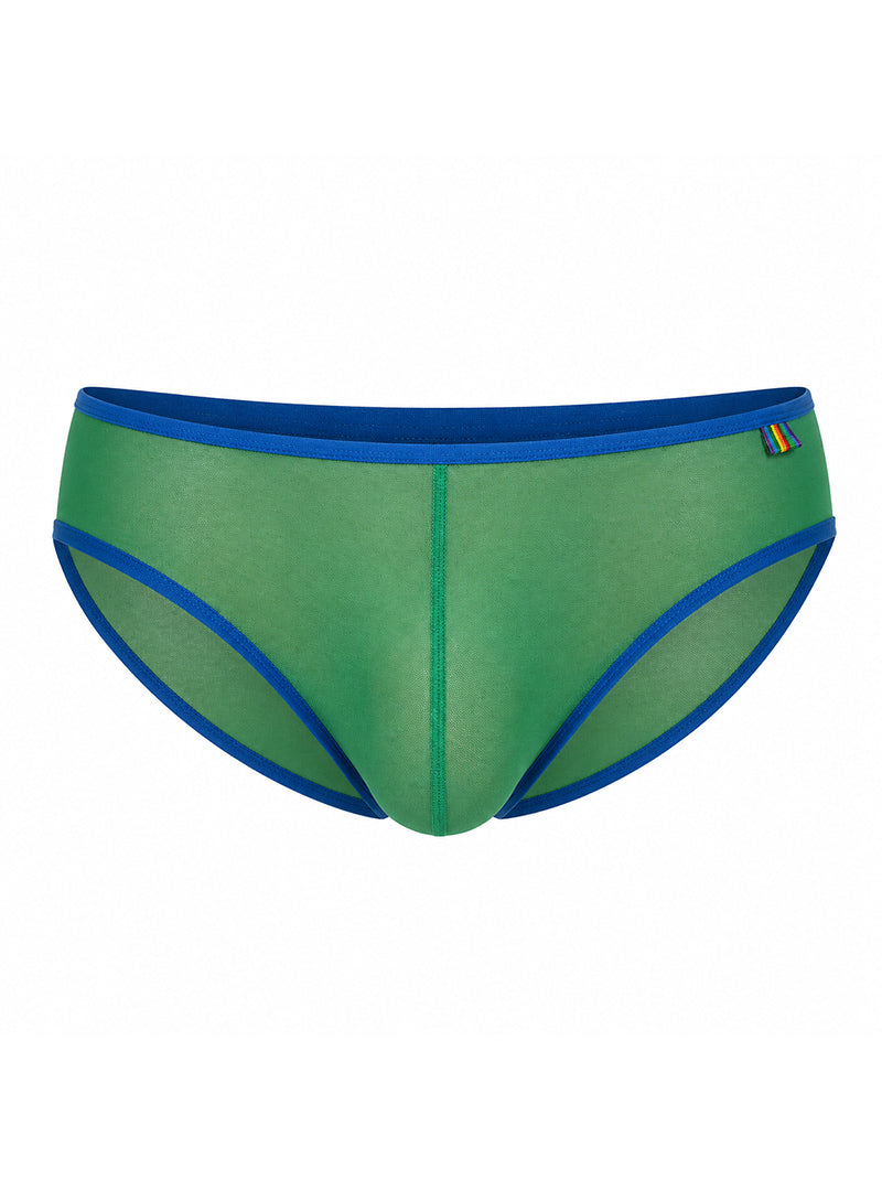 Green Pride Mesh Gossamer Bikini