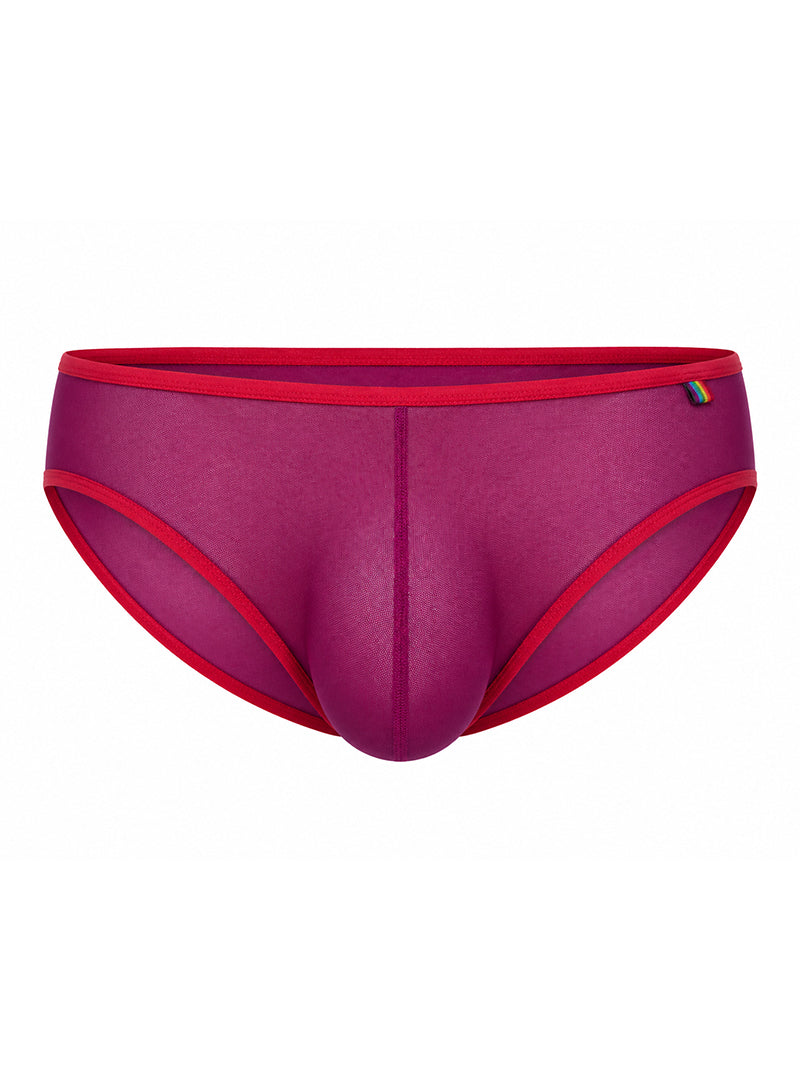 Purple Pride Mesh Gossamer Bikini