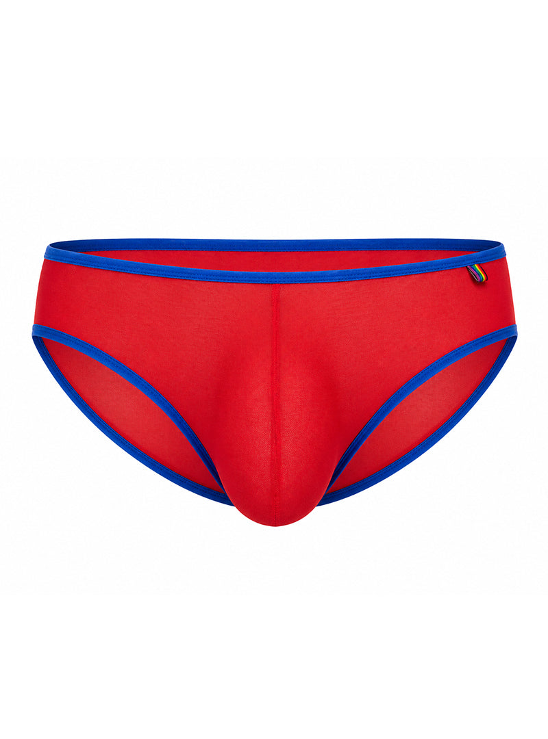 Red Pride Mesh Gossamer Bikini