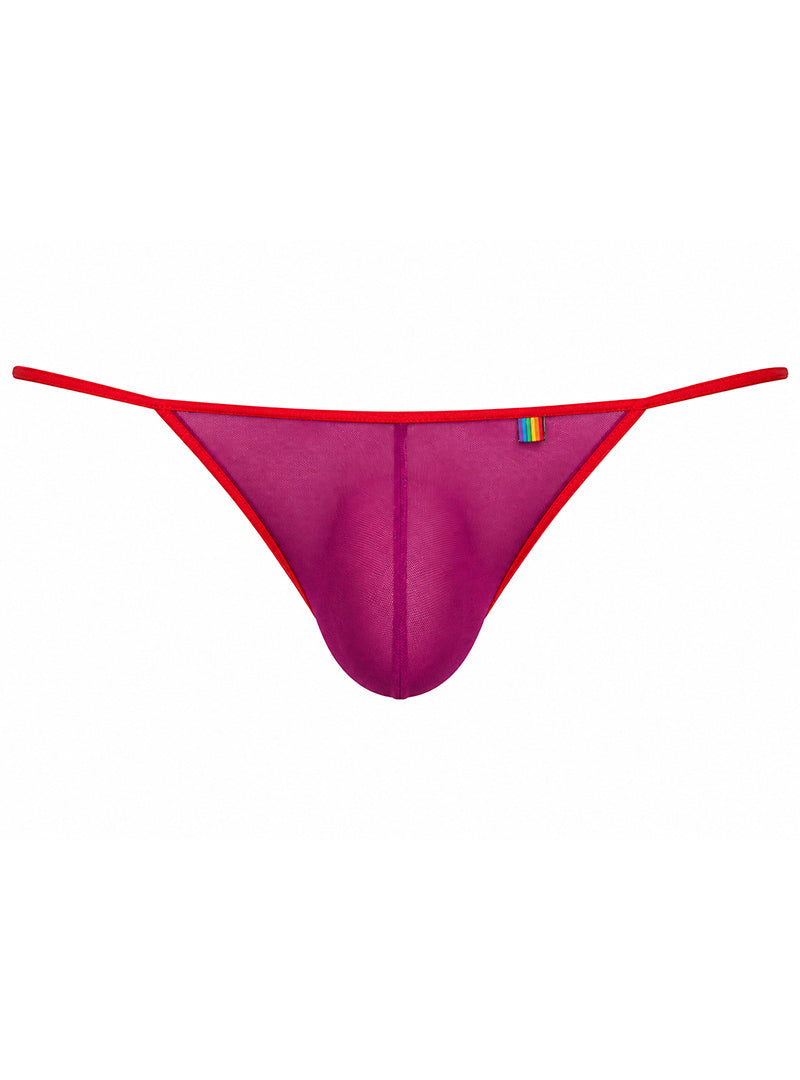 Purple Pride Mesh Gossamer G-String
