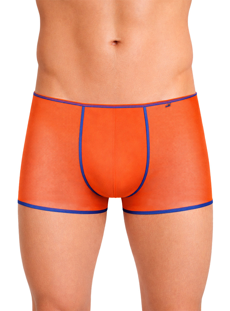 Pride Mesh Gossammer Trunk