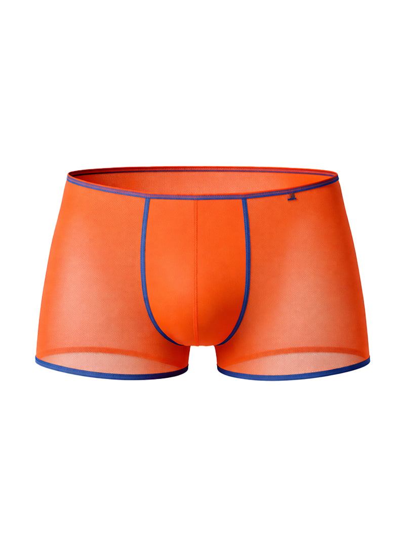 Pride Mesh Gossammer Trunk