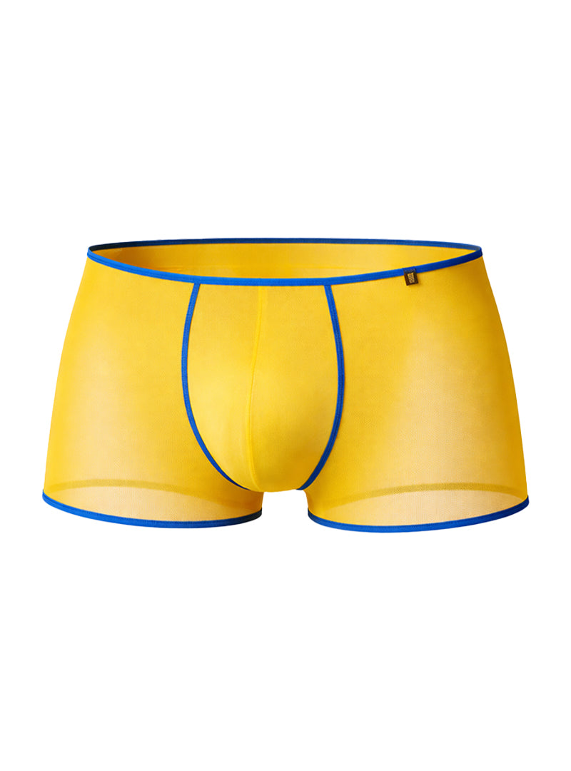 Pride Mesh Gossammer Trunk