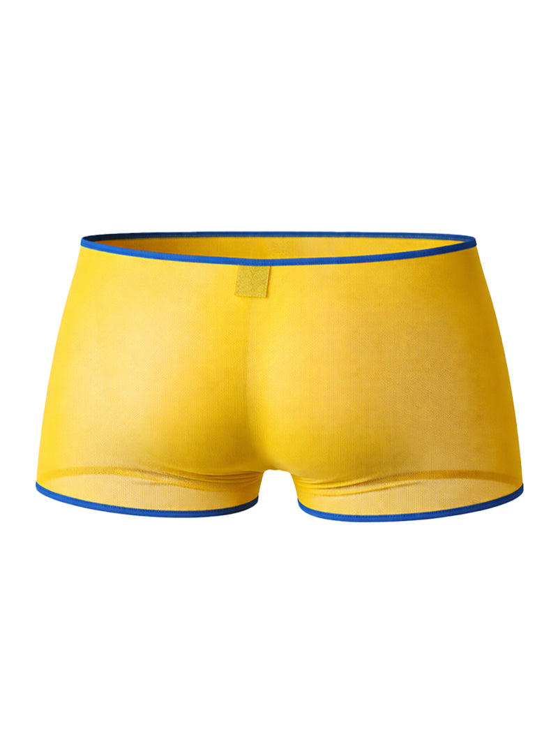 Pride Mesh Gossammer Trunk