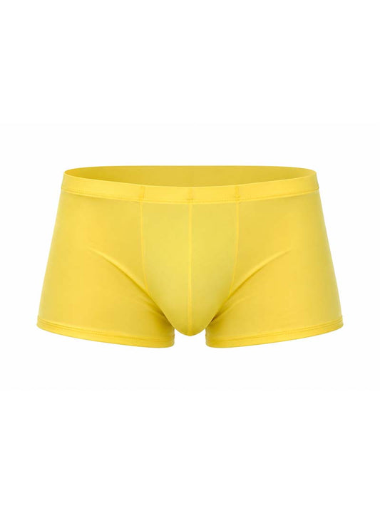 Pride Metro Trunk