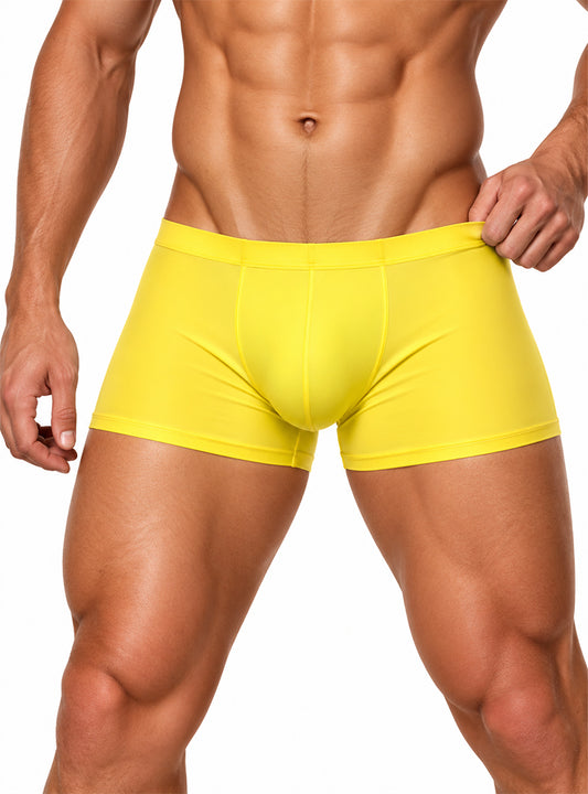 Pride Metro Trunk