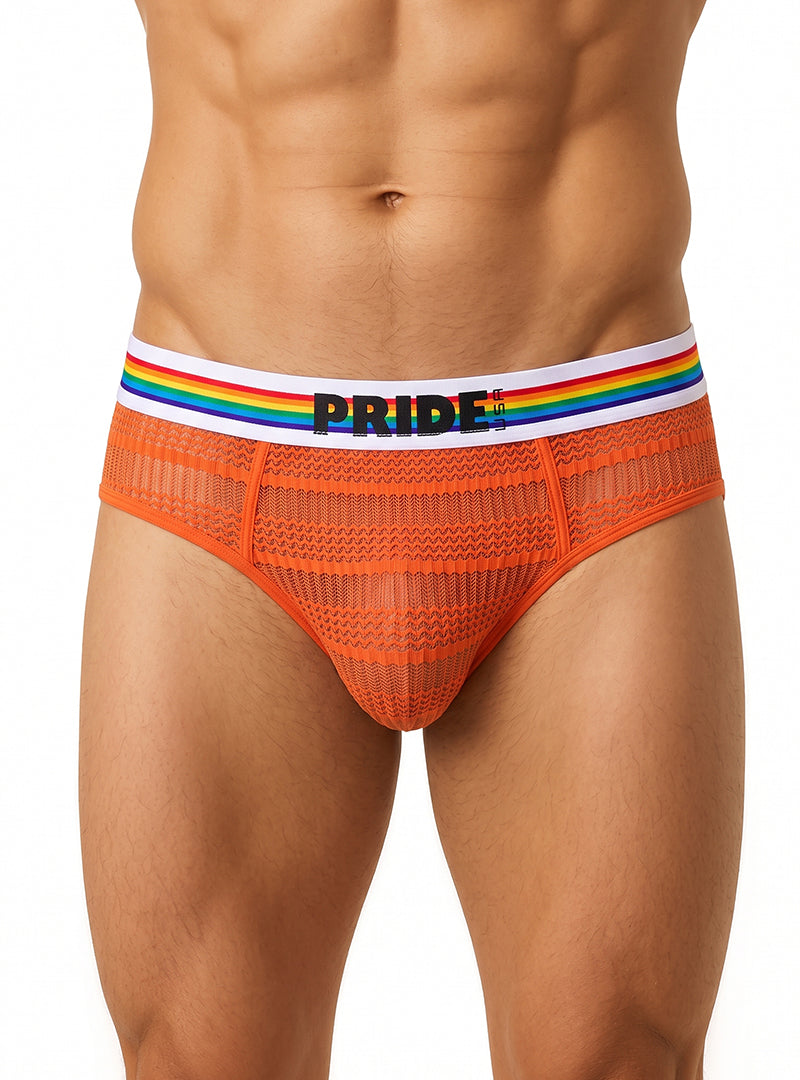 Orange Pride Sheer Mesh Archery Brief Front