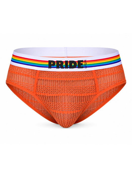 Pride Sheer Mesh Archery Brief – Men's See-Through Underwear