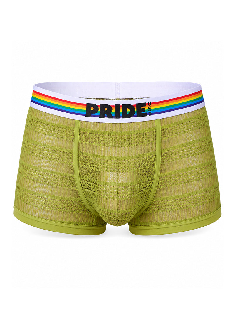 Green Pride Sheer Mesh Archery Trunk