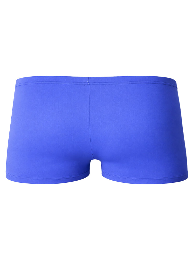 Pride Square Trunk
