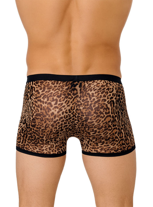Pride Leopard Sheer Catty Trunk