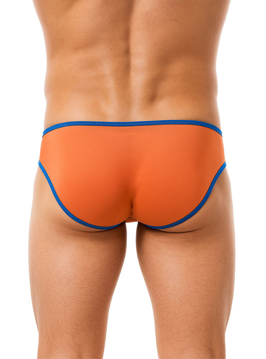 Pride Mesh Gossamer Bikini