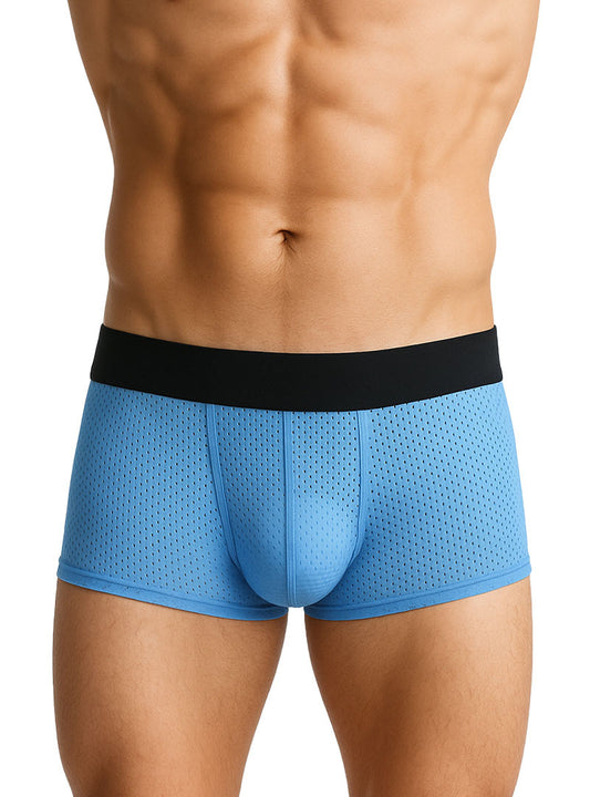 Pride Mesh Trunk