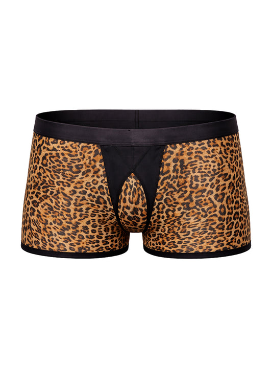 Tartarus Peakaboo Trunk