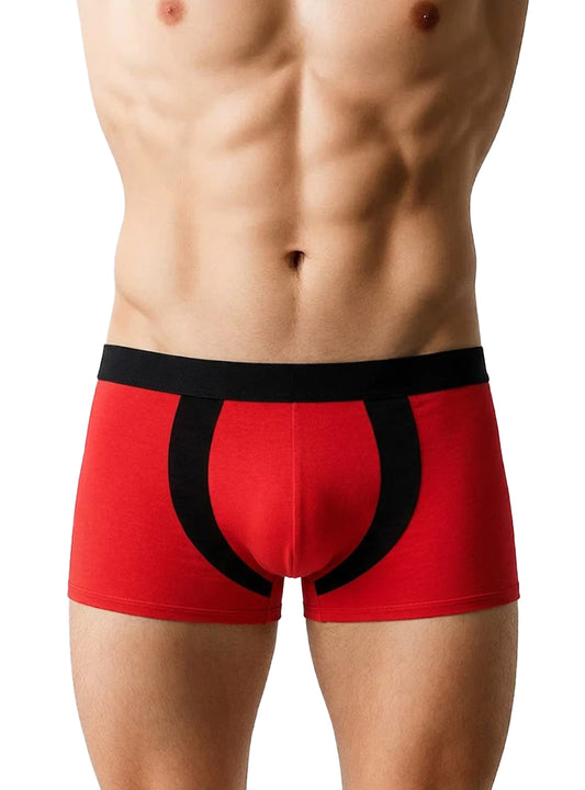 Undergear Basix Alex Two-Tone Trunk