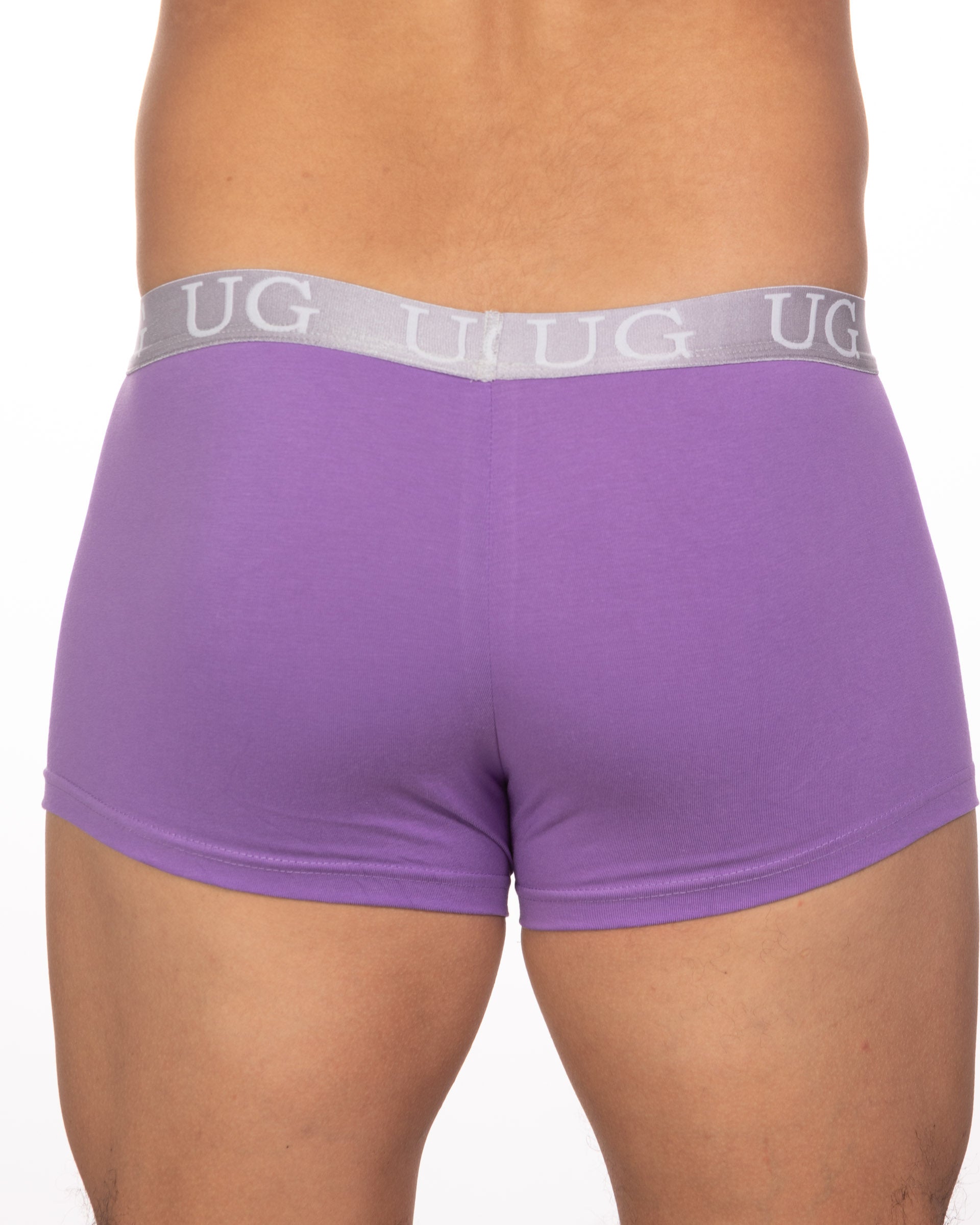 Undergear Basix Trunk