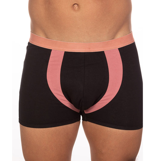 10-PACK Undergear Basix Alex Two-Tone Trunk