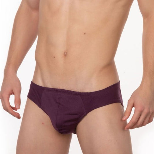 Contour French Brief in Purple - Front View
