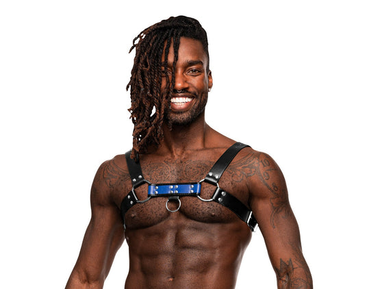 Male-Power-Aries-Blue-Harness-Men-Mens