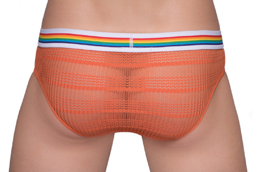 Pride Sheer Mesh Archery Brief