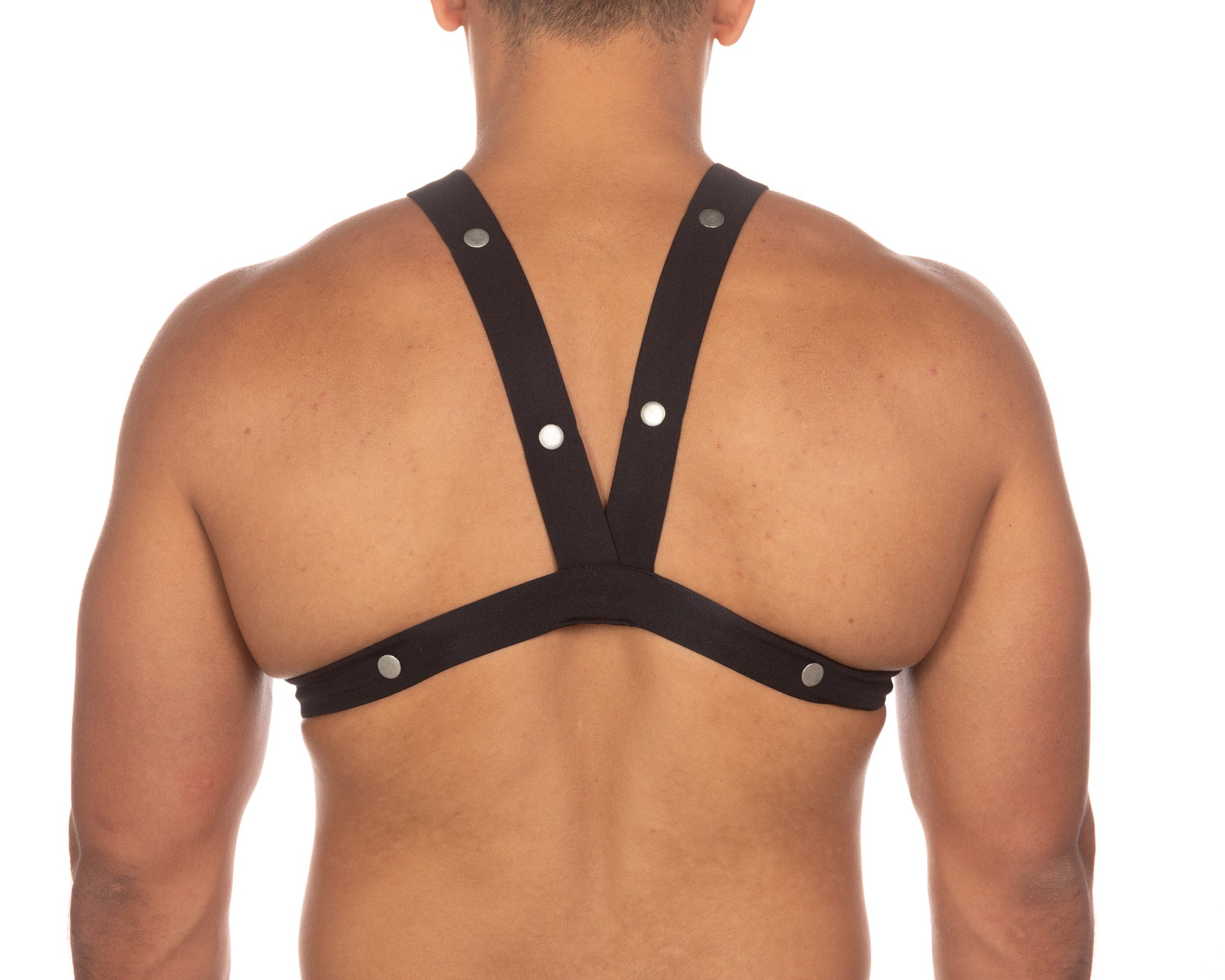 Harness-Back-Details