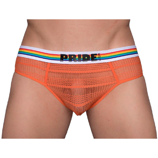 Pride Sheer Mesh Archery Brief