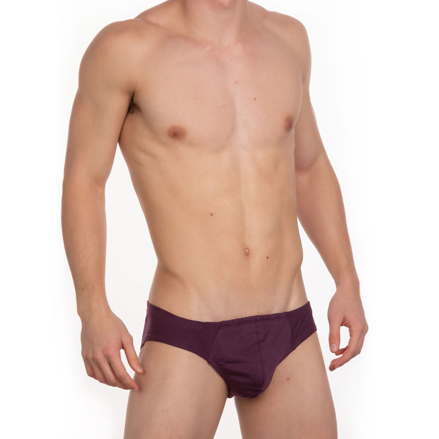 Contour French Brief in Purple - Front View